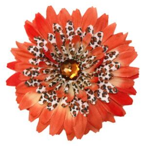 yxr[LbYwAANZzWoobie WearIp[ht[Nbvʔ̃wAohAXqɕtĂg܂Byaz1΁Fyaz2΁Fyaz3΁F