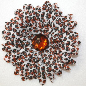 yxr[LbYwAANZzWoobie WearIp[ht[Nbvʔ̃wAohAXqɕtĂg܂Byaz1΁Fyaz2΁Fyaz3΁F