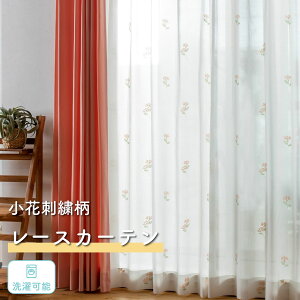 yXő50off{zʃN[|zssN̏ԎhJ[Xt1 I[_[1cmP hJ i` {^jJ Vv 킢 sN̉ԕ 􂦂 Vv (BXL1035)