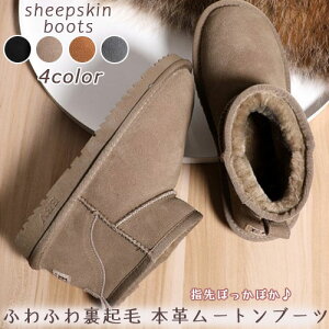 yz [gu[c {v N  h fB[X C g t@[u[c Ȃ uE O[ ubN CguE