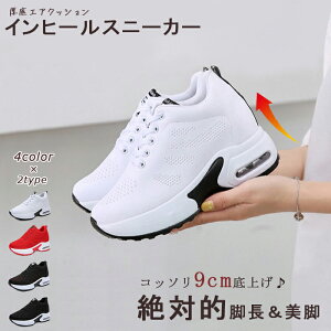  Cq[Xj[J[ GANbV  r r fB[X V[Y V[NbgV[Y q[ EFbW\[ ~hJbg nCJbg X^CAbv n b