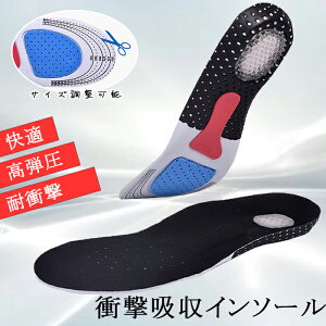 Ռz C\[ ʋC NbV X|[c ~ 傫 fB[X Y ^ X|[c U EH[LO jO U ^  