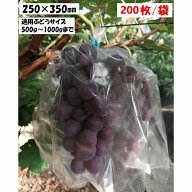 全透明微孔フィルム袋 ブドウ日光カバー袋 果物野菜ラップ袋 ブドウラップ袋 鳥や蚊の侵入を防ぐ 25*35mm…