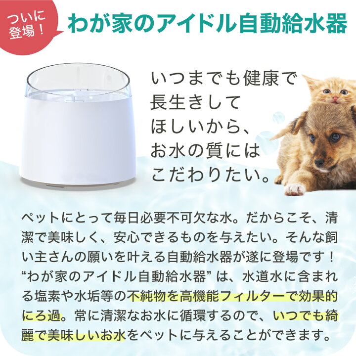 人気特価 §H∞HAPEHAPY 猫自動給水器 犬猫水飲み器 2.6L大容量 お手入れが簡単なステンレス製給水器 循環式 4重濾過浄水 猫 犬給水器 qdtek.vn 人気特価 §H∞HAPEHAPY 猫自動給水器 犬猫水飲み器 2.6L大容量 お手入れが簡単なステンレス製給水器 循環式 4重濾過浄水 猫 犬給水器 qdtek.vn