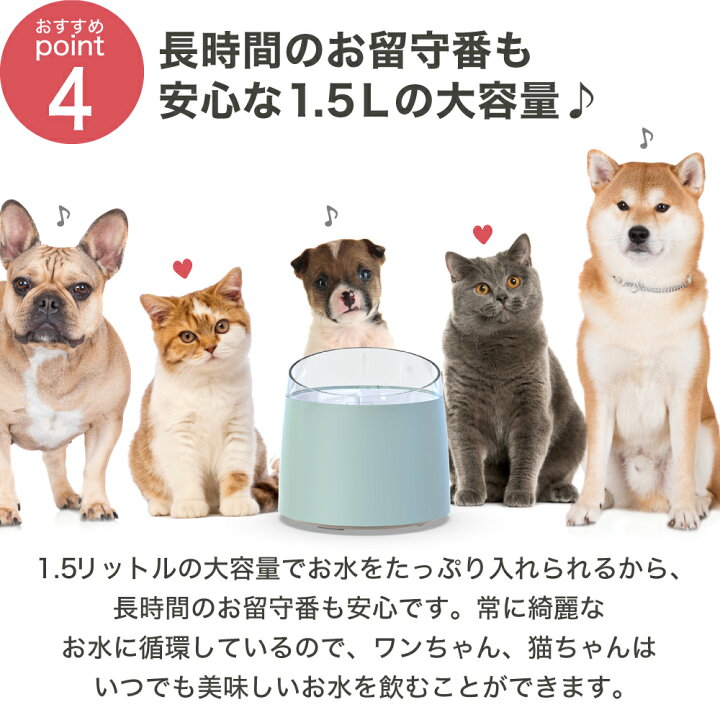 楽天市場 安心1年保証 猫 犬 ペット 自動 給水器 自動給水器 自動水やり器 自動水やり機 水飲み器 みずのみ器 浄水 大容量 1 5lタンク 猫用 犬用 自動 全自動 超静音 おしゃれ ねこ ネコ いぬ イヌ 安全 活性炭フィルター付き わが家のアイドル 正規品