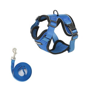 [ L n[lX Ȃ _ubN ₷ OȂ EȂ [h Lp y y bV ʋC Ȃ  U o ʉ@ ЊQ  킢 EGAn[lX 