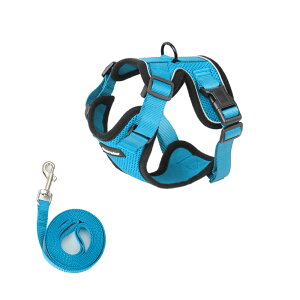 [ L n[lX Ȃ _ubN ₷ OȂ EȂ [h Lp y y bV ʋC Ȃ  U o ʉ@ ЊQ  킢 EGAn[lX 