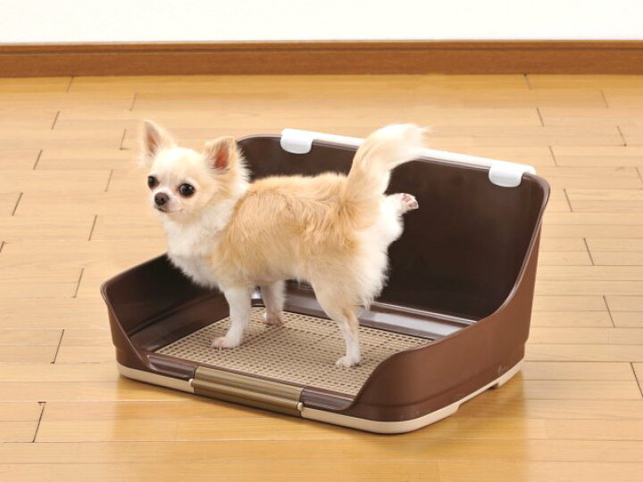 楽天市場 ボンビアルコン しつけるウォールトレー S レギュラー 犬 トイレトレー トイレ 超小型犬 小型犬 男の子 トイレトレーニング トイレ しつけ 躾 トイトレ ブラウン ハピポート 楽天市場店 楽天市場 ボンビアルコン しつけるウォールトレー S レギュラー 犬 トイレトレー トイレ 超小型犬 小型犬 男の子 トイレトレーニング トイレ しつけ 躾 トイトレ ブラウン ハピポート 楽天市場店
