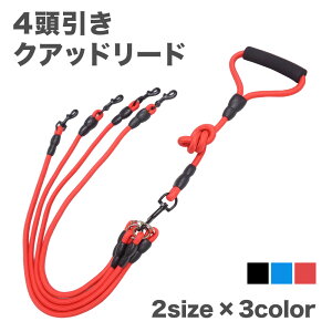 p NAbh[h l  4C p [h ۂЂ ܂Ȃ iXJ ₷ v y R ^ ^ hbO