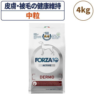tHc@10 ANeBuC fANeBu  4kg  t[h hbOt[h 畆  XLPA p t[h hC  HÖ@H Y FORZA10