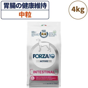 tHc@10 ANeBuC CeXeBiANeBu  4kg  t[h hbOt[h ݒ  _ p t[h hC  HÖ@H Y FORZA10