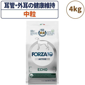 tHc@10 ANeBuC GR[ANeBu  4kg  t[h hbOt[h Ig ANeBu  O  p t[h hC  HÖ@H Y FORZA10
