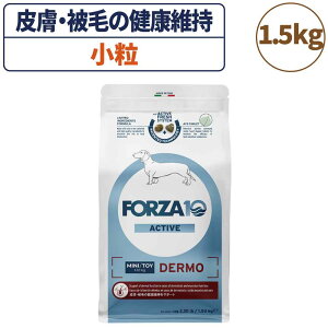tHc@10 ANeBuC fANeBu  1.5kg  t[h hbOt[h 畆  XLPA p t[h hC  HÖ@H Y FORZA10