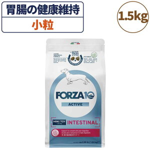 tHc@10 ANeBuC CeXeBiANeBu  1.5kg  t[h hbOt[h ݒ  _ p t[h hC  HÖ@H Y FORZA10