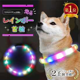[楽天1位] 犬 光る首輪 光る ライト 首輪 レインボー首輪 猫 ペット カラー リード 光 虹色 6色 LED 長さ55cm カット自由 サイズ調整可能 点灯 点滅 蛍光 USB 充電 充電式 夜間 散歩 安全 防犯 事故防止 小型犬 中型犬 大型犬 おしゃれ かわいい ピカピカ わが家のアイドル