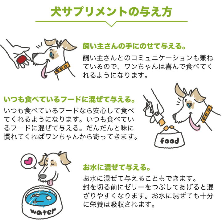 楽天市場 犬サプリメント 3種類 バラエティパック お試し6本入 犬 サプリ スティックゼリー 犬用 サプリメント 関節痛 白内障 眼病予防 乳酸菌 善玉菌 国産 ハピポート 楽天市場店