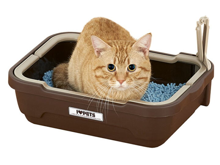 楽天市場 ボンビアルコン しつけるトイレ Sサイズ ピスタチオグリーン 猫 トイレ 本体 猫用 オープン 小型 お手入れ簡単 コンパクト 取っ手付き スコップ付き 猫砂 C S ハピポート 楽天市場店 楽天市場 ボンビアルコン しつけるトイレ Sサイズ ピスタチオグリーン 猫 トイレ 本体 猫用 オープン 小型 お手入れ簡単 コンパクト 取っ手付き スコップ付き 猫砂 C S ハピポート 楽天市場店