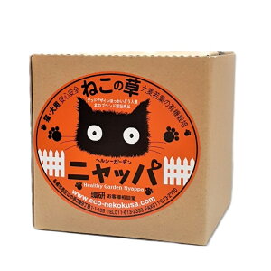 y󂠂izyܖԋ߁zyܖ25N12zL wV[K[f jbp 唞t͔|2񕪃Zbg ˂ lR  ͔|Lbg _ kC Y S S ыʑ΍ Lbg