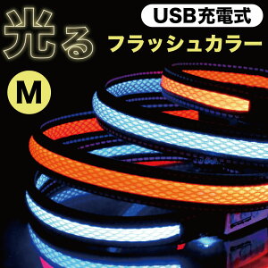 񂶂 [dLEDtbV J[   M  p USB LEDCg   U S ̖h~ L'ange