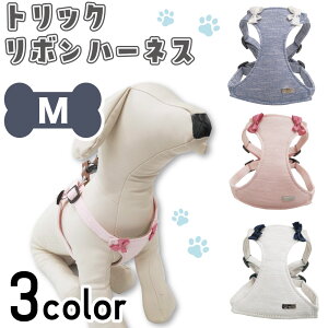 A[A gbN{n[lX M  n[lX p  xXg  {  킢 Tybg U o hbO AZERIA