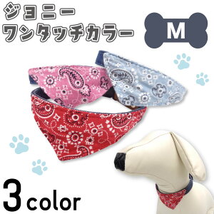 A[A Wj[ ^b`J[ M   p J[ o_i yCY[   U o {v qDt AZERIA