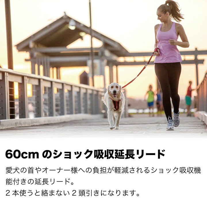 楽天市場】イージードッグ ゼロショックエクステンション 犬 延長 リード 犬用 平紐型 散歩 お出かけ 握りやすい ショック 衝撃 吸収 中型犬 大型犬 EZYDOG : ハピポート 楽天市場店 楽天市場】イージードッグ ゼロショックエクステンション 犬 延長 リード 犬用 平紐型 散歩 お出かけ 握りやすい ショック 衝撃 吸収 中型犬 大型犬 EZYDOG : ハピポート 楽天市場店