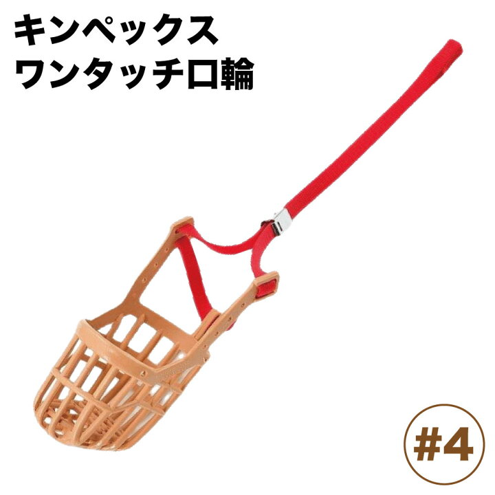 楽天市場】キンペックス SHOW SHEEN 500mlの通販 キンペックス 内容量:1個