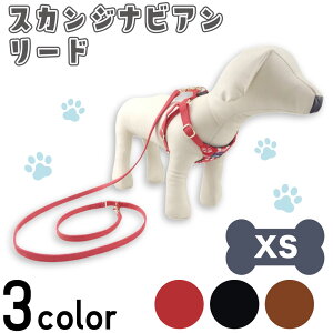 A[A XJWirA [h XS  UR p k XG[h VbN  킢 U o AZERIA