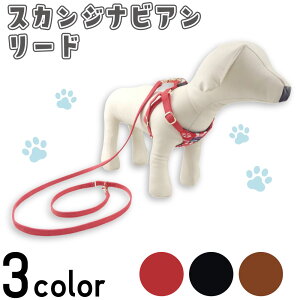 A[A XJWirA [h  UR p k XG[h VbN  킢 U o AZERIA