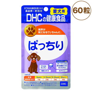 DHC p ς 60  Tvg NHi ^ubg    p Tv ybg ybgp Tv N⏕ Y fB[GC`V[