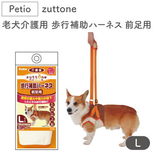 yeBI zuttone Vp s⏕n[lX Op L  n[lX VjAp p pi xg bV ^ Petio Ƃ