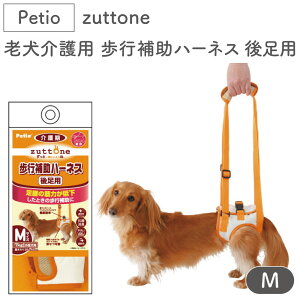yeBI zuttone Vp s⏕n[lX 㑫p M  n[lX VjAp p pi xg bV ^ Petio Ƃ