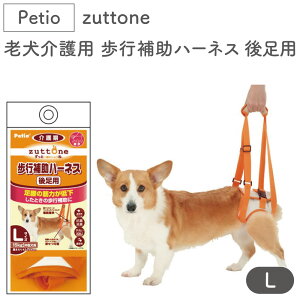 yeBI zuttone Vp s⏕n[lX 㑫p L  n[lX VjAp p pi xg bV ^ Petio Ƃ