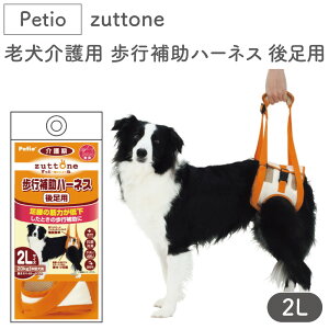 yeBI zuttone Vp s⏕n[lX 㑫p 2L  n[lX VjAp p pi xg bV ^ Petio Ƃ