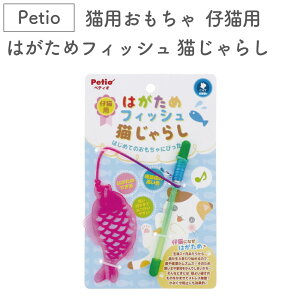 yeBI Lp eLp ͂߃tBbV L炵 L ł  Lp  gC L XgXU ^s