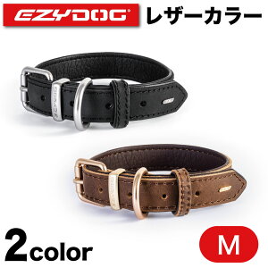 C[W[hbO U[J[ M   p J[ {v v U o  IbNXtH[h U[ ^ EZYDOG