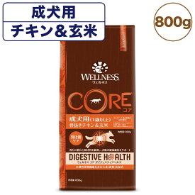 【訳あり品】【賞味期限間近】【賞味期限24年7月19日】ウェルネス コア ダイジェスティブヘルス 成犬用 チキン玄米 800g 犬 ドッグフード 犬用 総合栄養食 高消化性 1歳以上 WELLNESS 在庫処分 在庫一掃 アウトレット