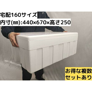 AX`[e CX`[ 傫 唠  ۗ┠ N[[{bNX z160TCY ۗ ۉ y v  ނ BBQ Ղ W[ Lvy50.4cm×s77cm×31.5cmzys