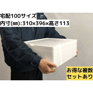 AX`[e CX`[ Mtg p 傫 ۗ┠ N[[{bNX z100TCY ۗ ۉ ӂ y v  ނ BBQ Ղ W[ Lv y35cm×43.6cm×1