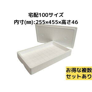 AX`[e CX`[ Mtg p 傫 ۗ┠ N[[{bNX z100TCY   ۉ ӂ y v  ނ BBQ Ղ W[ Lv y 28.5cm s48.5cm