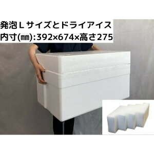 y5OFF 11/15 23:59܂Łzzn hCACX̓N[Ⓚ  L ybgV Ђ y460×s740×390zyybgۗupEALTCY HL-90ƃhCACX 5LE10L