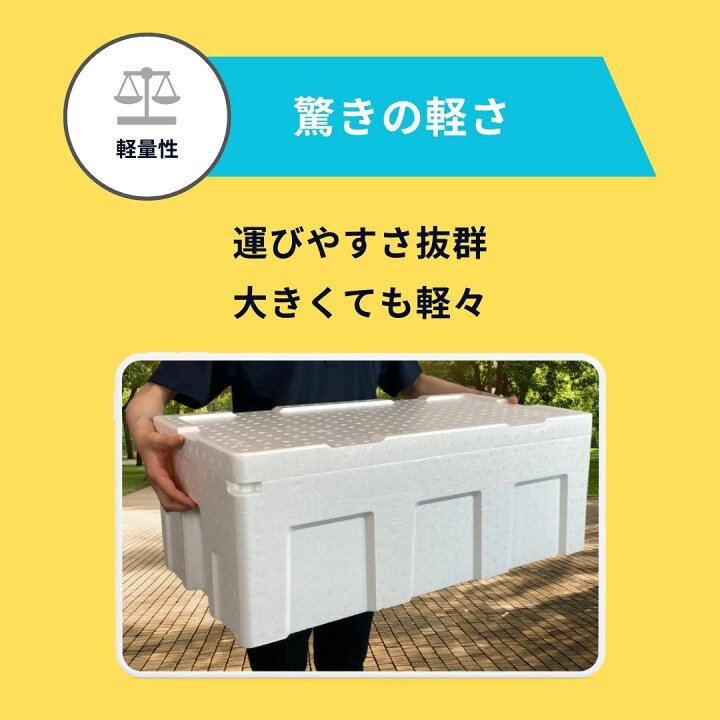 楽天市場】発泡スチロール 箱 60サイズ ミニ 魚 クーラーボックス 容器 保冷 保温 釣り ギフト 贈答用 弁当箱 軽量 収納 小物入れ  ホームセンター ペット BBQ お祭り キャンプ【 幅18.5cm 奥行27cm 高さ7.6cm 】【HB-2N 弁当箱】 : はっぽうくん楽天市場店