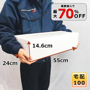 AX`[  N[[{bNX  e ۗ┠ ۗ ۉ ނ Mtg p ^ 100TCY y v BBQ Ղ W[ Lv y 24cm s55cm 14.6cm zyBL-4Z ^oz