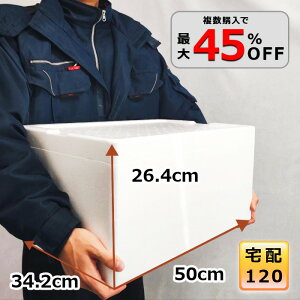 AX`[  120TCY N[[{bNX  e ۗ┠ ۗ ۉ ނ Mtg p ^ y v BBQ Ղ W[ Lv y34.2cm×50cm×26.4cmzyF-13z