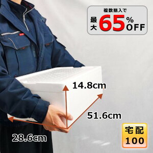 AX`[  N[[{bNX  e ۗ┠ ۗ ۉ ނ Mtg p ^ 100TCY y v BBQ Ղ W[ Lv y28.6cm×51.6cm×14.8cmzyT-21z
