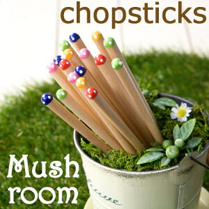 y݌ɌzyiJmzy5V܂Ń[OKzዷh Jt ̂ Vpy22cmE18cmzVR }bV[ H씢  q