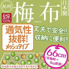 【2枚までメール便OK】【イシミズ】メッシュタイプ梅布【66×66cm】【細かい目タイプ】紀州 日本製 綿100% 梅干し 野菜干し ザル・ゴザ