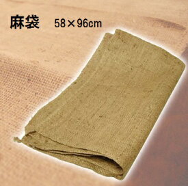 楽天市場 保存袋 根菜の通販