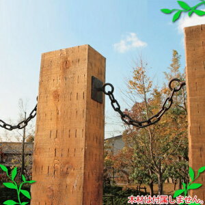 ymΑnzK[f`F[iʎtpjy85416zK[fjOI[ig | G