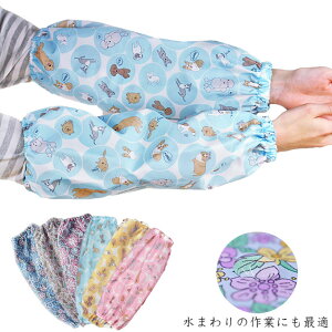 hrJo[ @[֑@{@K[fjO@r